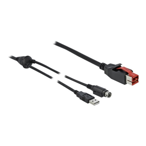 DeLOCK Delock - USB-kabel med egen strömförsörjning - 2 m