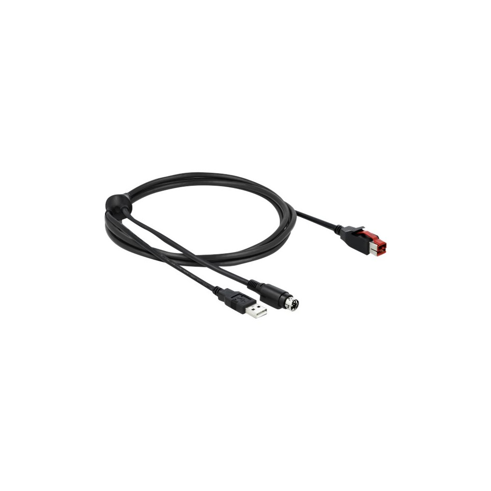 Produktbild för Delock - USB-kabel med egen strömförsörjning - 2 m