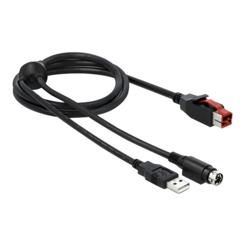 DeLOCK Delock - USB-kabel med egen strömförsörjning - 3 m