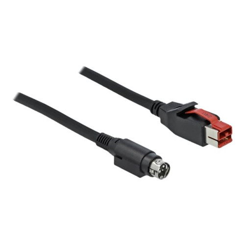 DeLOCK Delock - USB-kabel med egen strömförsörjning - USB PlusPower (24 V) till Ström mini-DiN - 1 m