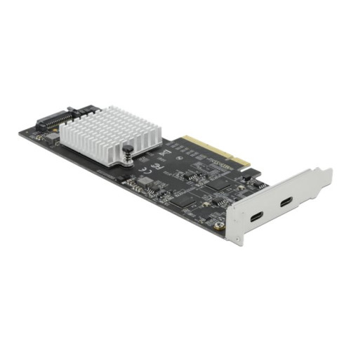 DeLOCK Delock - USB-adapter - PCIe 2.0 x8 - USB-C 3.2 Gen 2x2 x 2