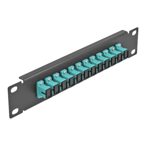 DeLOCK Delock patch-panel - 1U - 10"