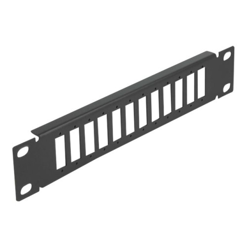 DeLOCK Delock kopplingspanel (tom) - 1U - 10"