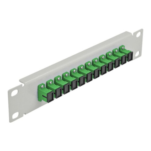 DeLOCK Delock patch-panel - 1U - 10"