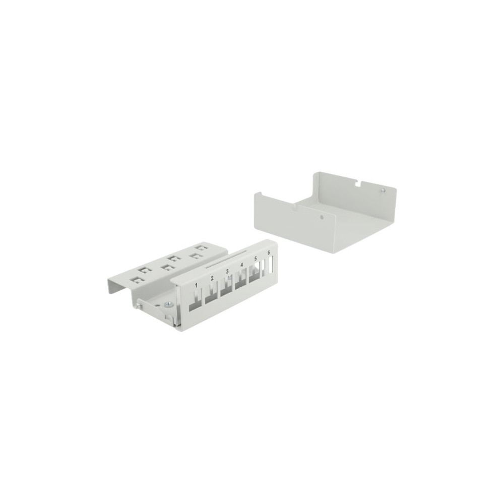 Produktbild för Delock blank keystone-patchpanel