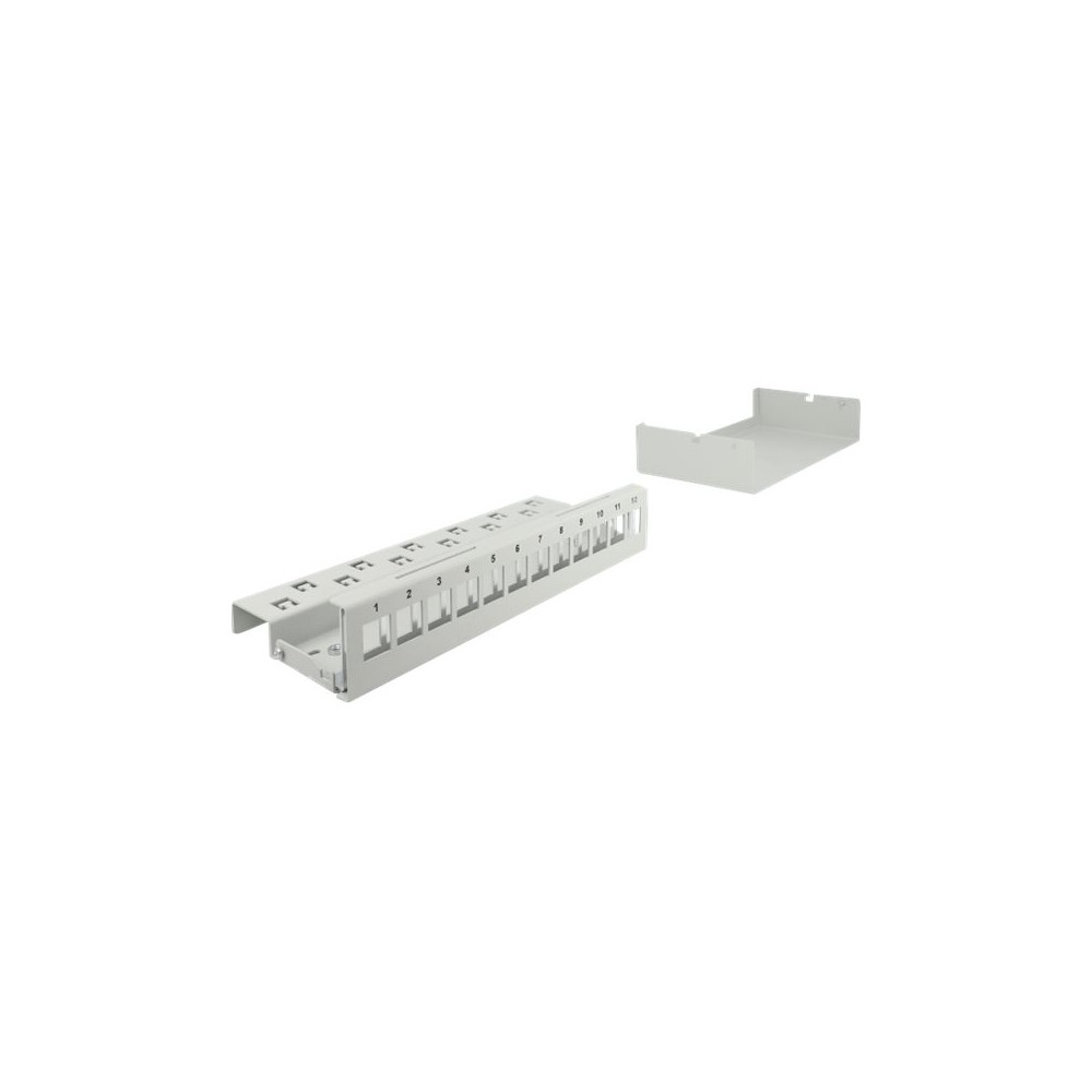 Produktbild för Delock blank keystone-patchpanel