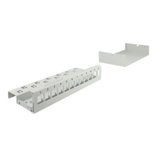 DeLOCK Delock blank keystone-patchpanel