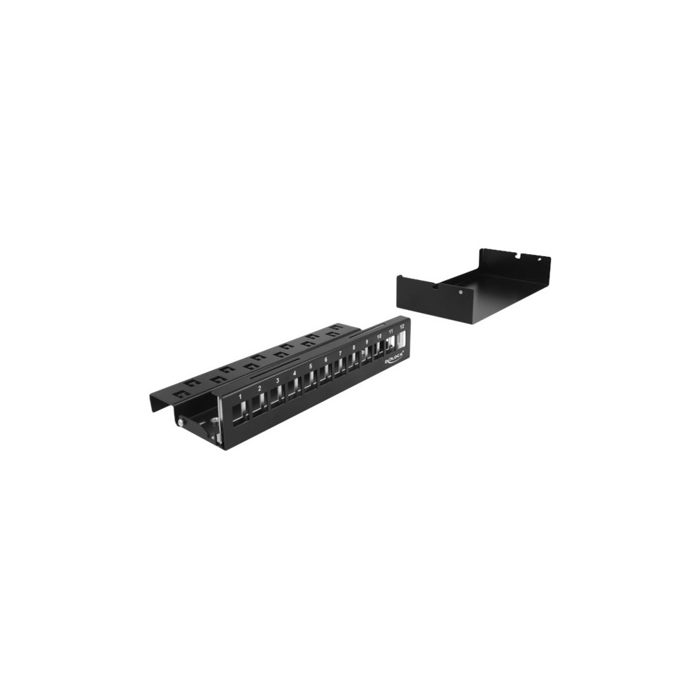 Produktbild för Delock blank keystone-patchpanel
