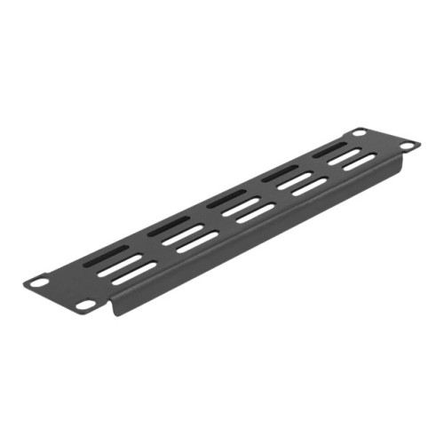 DeLOCK Delock monteringsplatta för ventilation (horisontell) - 1U - 10"