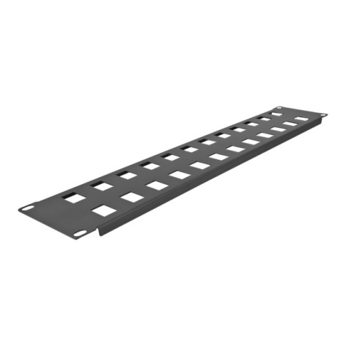 DeLOCK Delock kopplingspanel (tom) - 2U - 19" - snap-in mounting