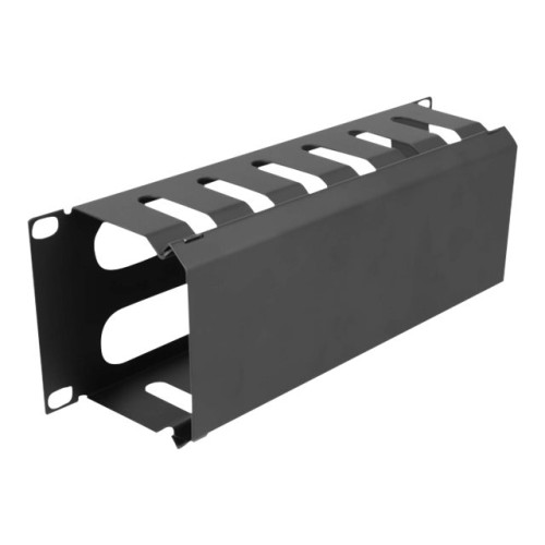 DeLOCK Delock rack cable management routing panel - 1U - 10" - with 2 openings