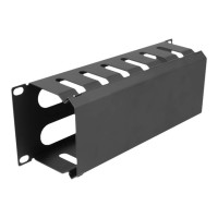 Produktbild för Delock rack cable management routing panel - 1U - 10" - with 2 openings