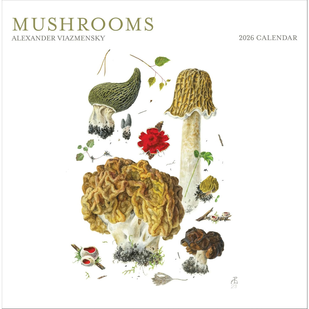 Produktbild för Mushrooms:  Alexander Viazmensky : 2026 Wall Calendar