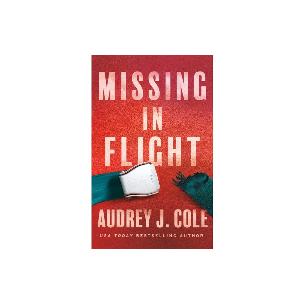 Produktbild för Missing in Flight (häftad, eng)