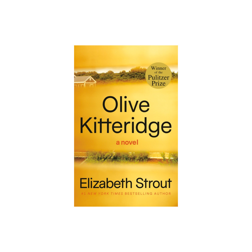 Produktbild för Olive Kitteridge (häftad, eng)