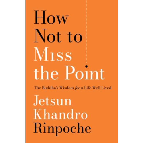 Shambhala Publications Inc How Not to Miss the Point (häftad, eng)