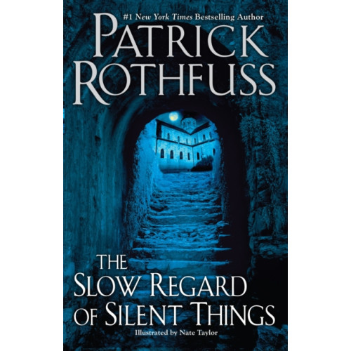 Not Stated The Slow Regard of Silent Things (häftad, eng)