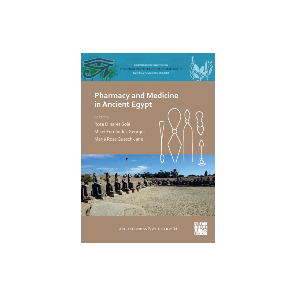 Produktbild för Pharmacy and Medicine in Ancient Egypt (häftad, eng)