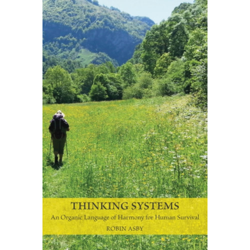 Triarchy Press Thinking Systems (häftad, eng)