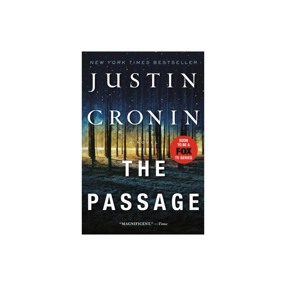 Produktbild för The Passage (häftad, eng)