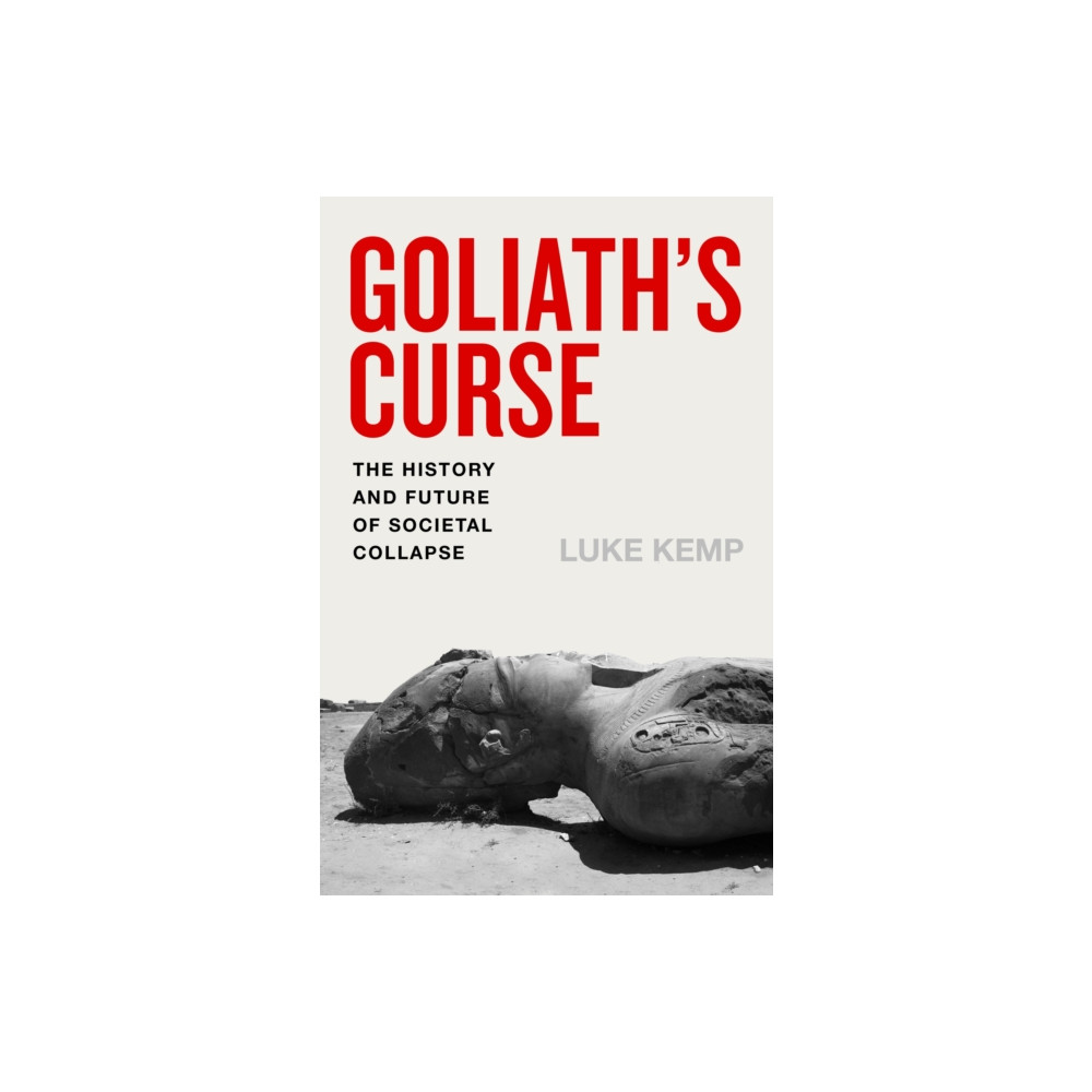 Produktbild för Goliath's Curse (häftad, eng)