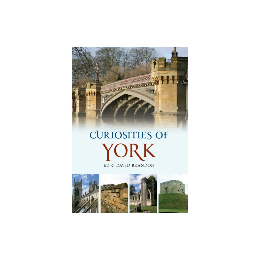 Produktbild för Curiosities of York (häftad, eng)