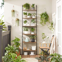 Produktbild för Ladder Shelf Black, Antique Color 205x60x30cm