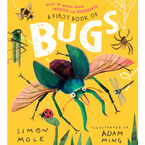 Walker Books Ltd A First Book of Bugs: with 30 poems about insects and minibeasts (inbunden, eng)