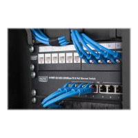 Produktbild för DIGITUS DN-10-ORG-1-2U-B - cable management panel with brush - 0.5U - 10"
