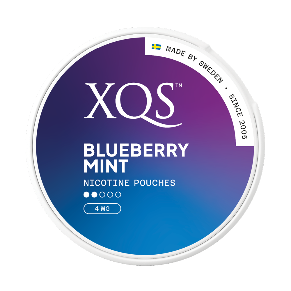 Produktbild för XQS Blueberry Mint 4mg 10-pack