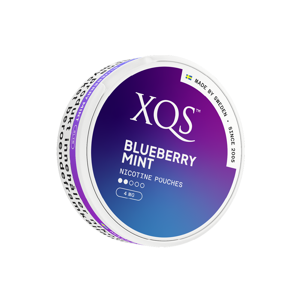 Produktbild för XQS Blueberry Mint 4mg 10-pack