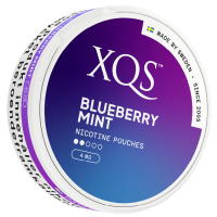 Produktbild för XQS Blueberry Mint 4mg 10-pack