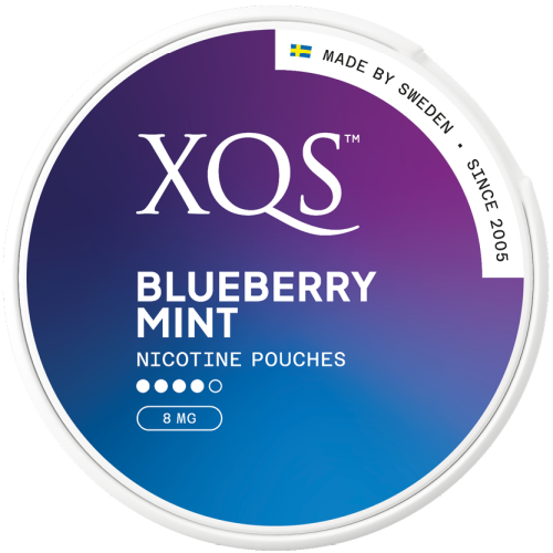 XQS XQS Blueberry Mint 8mg 10-pack
