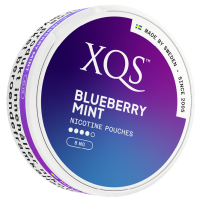 Produktbild för XQS Blueberry Mint 8mg 10-pack