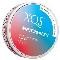 Produktbild för XQS Wintergreen 8mg 10-pack