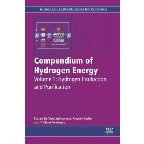 Elsevier Science & Technology Compendium of Hydrogen Energy (inbunden, eng)