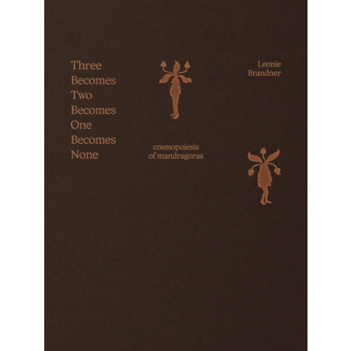 Stichting Onomatopee Three Becomes Two Becomes One Becomes None (häftad, eng)