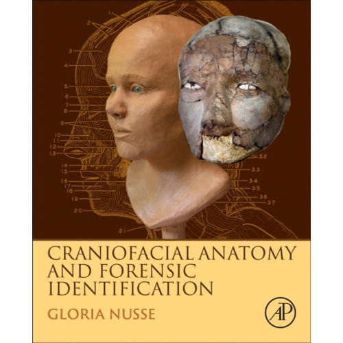 Elsevier Science Publishing Co Inc Craniofacial Anatomy and Forensic Identification (inbunden, eng)