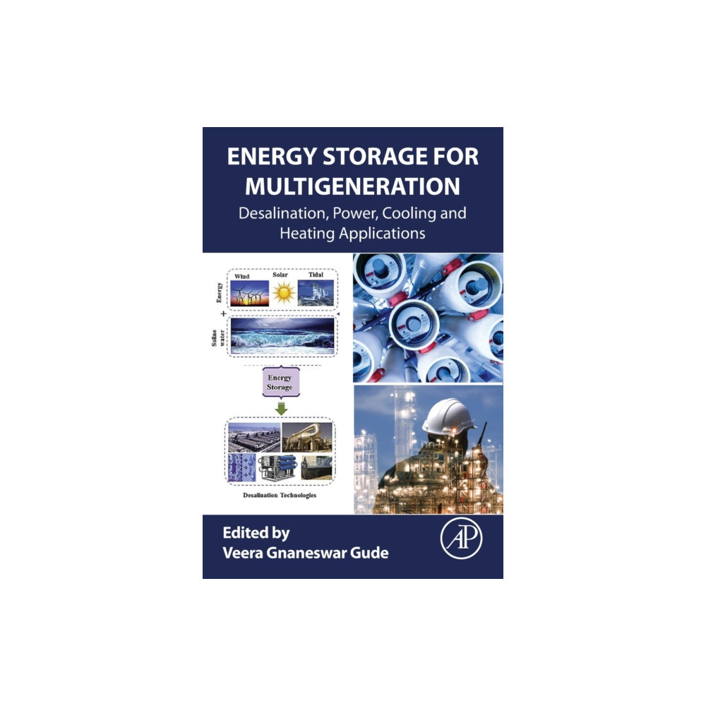Produktbild för Energy Storage for Multigeneration (häftad, eng)