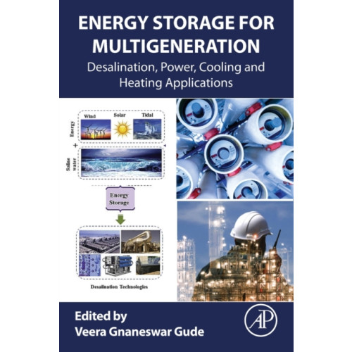 Elsevier Science Publishing Co Inc Energy Storage for Multigeneration (häftad, eng)