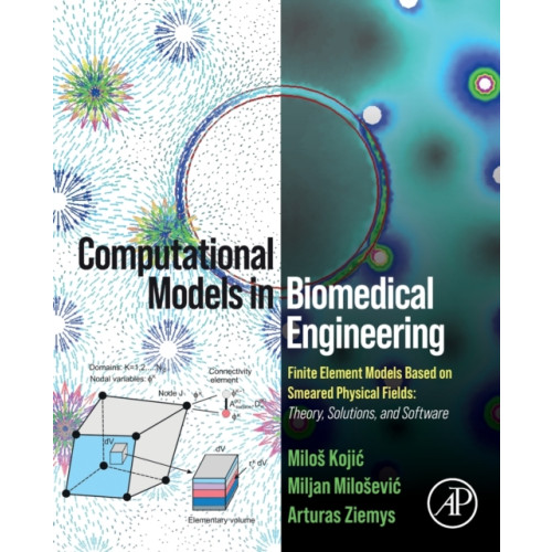 Elsevier Science & Technology Computational Models in Biomedical Engineering (häftad, eng)