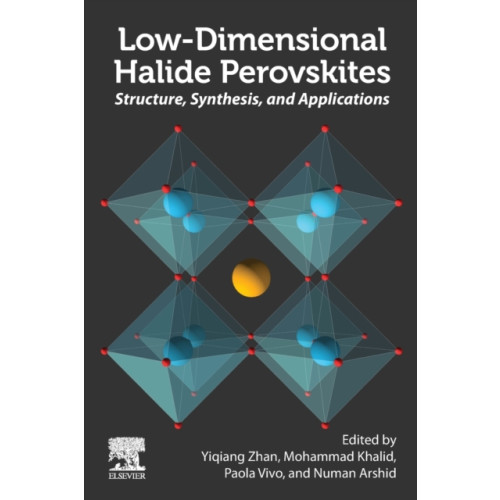 Elsevier - Health Sciences Division Low-Dimensional Halide Perovskites (häftad, eng)