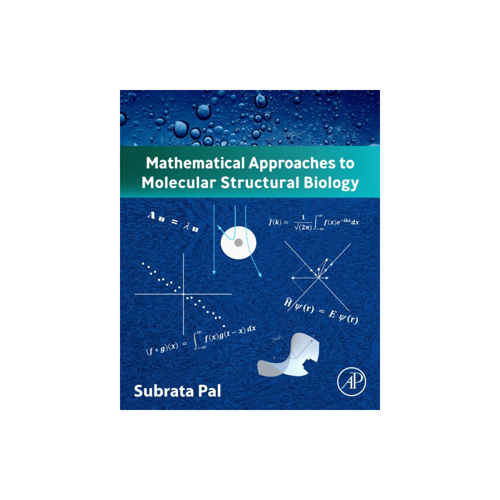 Produktbild för Mathematical Approaches to Molecular Structural Biology (häftad, eng)