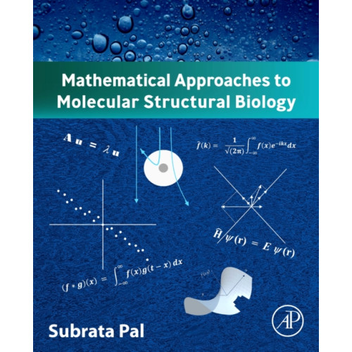 Elsevier Science & Technology Mathematical Approaches to Molecular Structural Biology (häftad, eng)