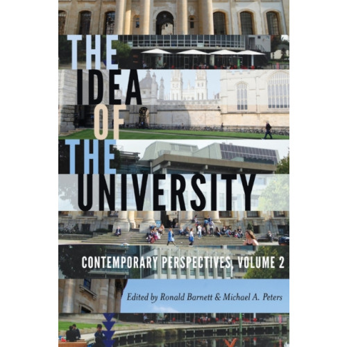 Peter Lang Publishing Inc The Idea of the University (häftad, eng)