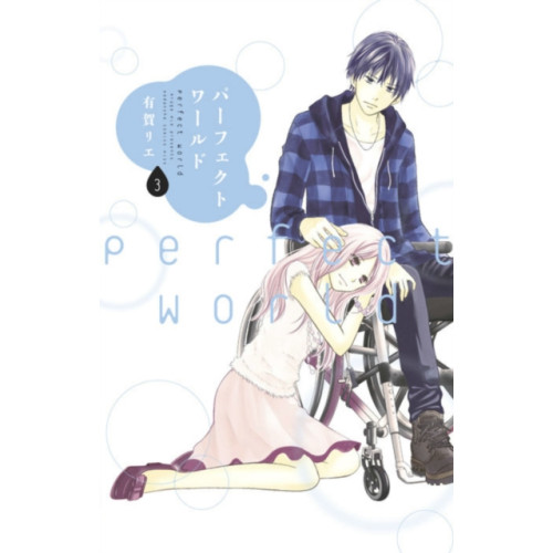 Kodansha America, Inc Perfect World 3 (häftad, eng)