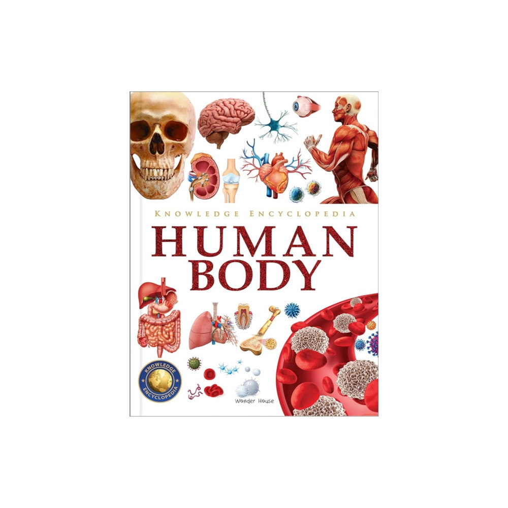 Produktbild för Knowledge Encyclopedia Human Body (inbunden, eng)