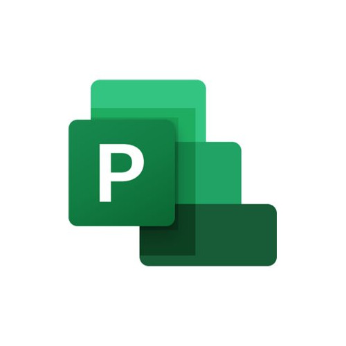 Microsoft Microsoft Project Server 2019 - licens - 1 licens