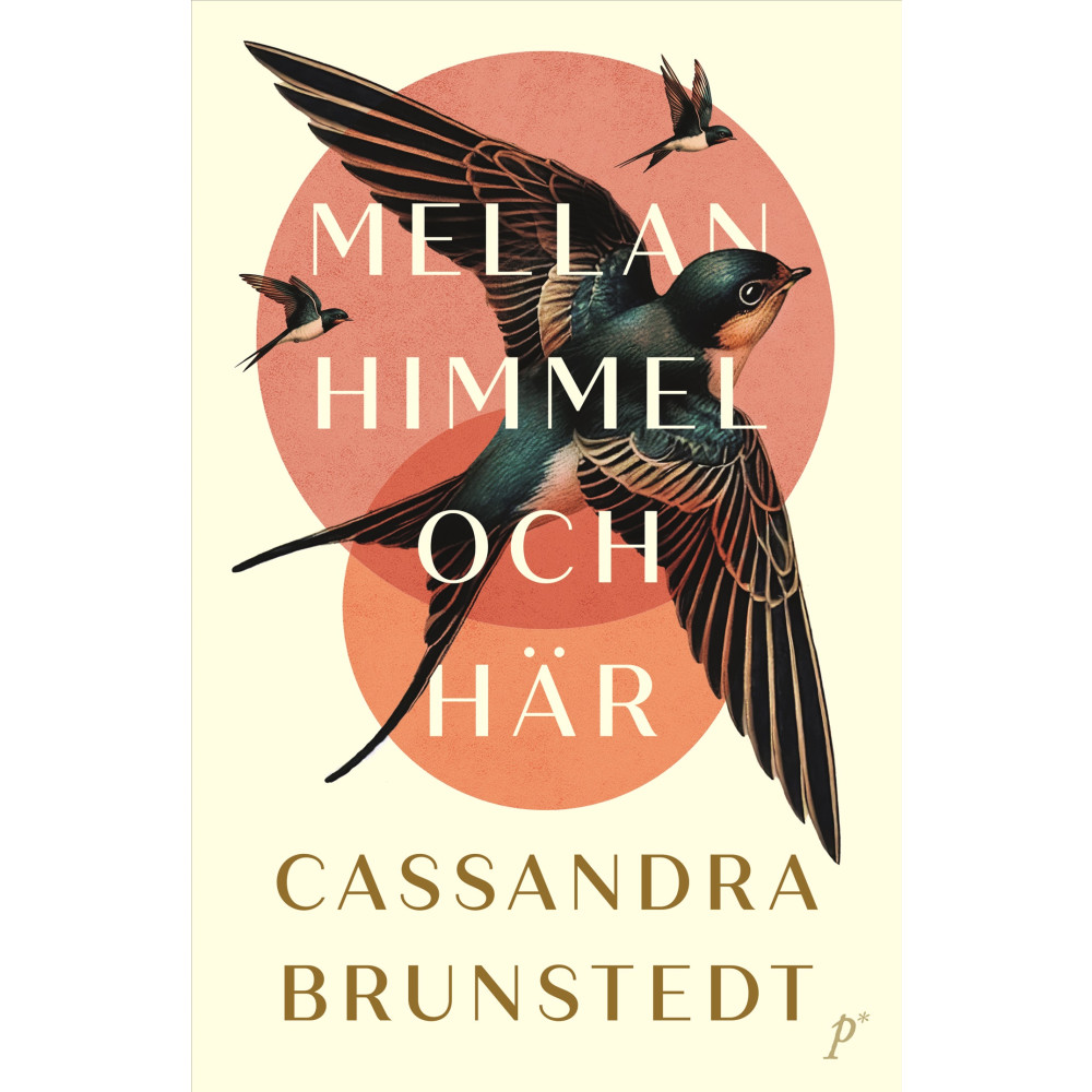 Produktbild för Mellan himmel och här (pocket)