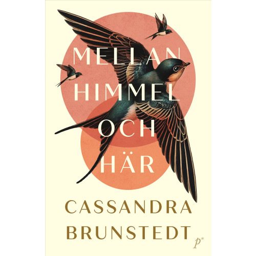 Cassandra Brunstedt Mellan himmel och här (pocket)